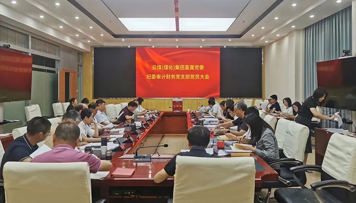 云煤（万利官网）集团直属党委纪委审计财务党支部完成换届选举事情