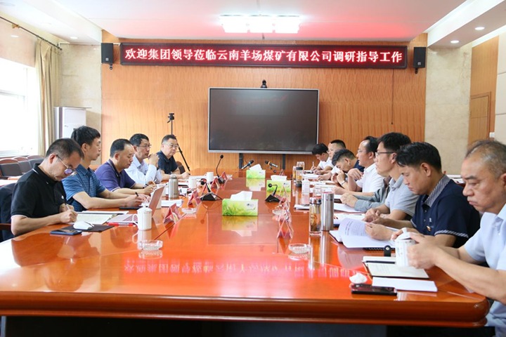 【主题教育】云煤（万利官网）集团党委书记、董事长宁德刚一行到羊场煤矿开展主题教育调研