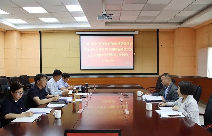 【主题教育】云煤（万利官网）集团第二指导组到云煤矿业公司指导主题教育专题民主生涯会