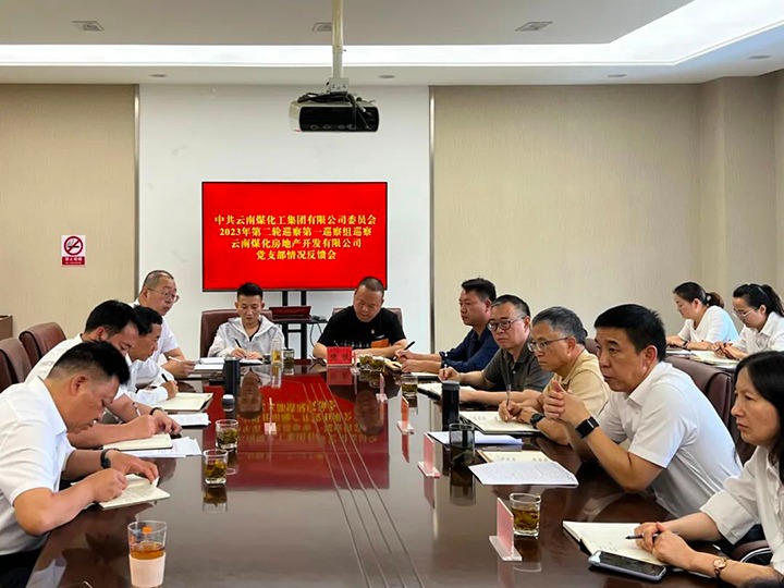 【聚焦云煤】云煤（万利官网）集团党委2023年第二轮巡察第一巡察组向云南万利官网房地产开发有限公司反响巡察情形
