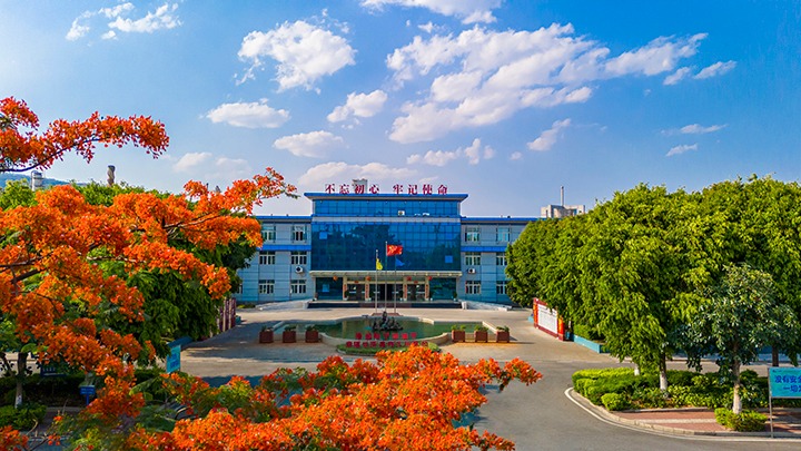 红色基由于引领，，，，，，磨练战场写华章  —— 汗水与智慧交织的磨练历程